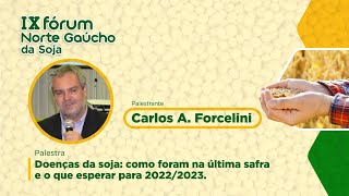 IX FORÚM NORTE GAUCHO DA SOJA CARLOS A FORCELINI [upl. by Woodcock]