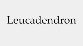 How to Pronounce Leucadendron [upl. by Eibbor]