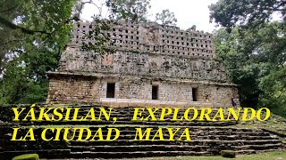 YAKSILAN LA CIUDAD MAYA PERDIDA ENTRE MEXICO Y GUATEMALA [upl. by Adahsar416]