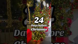 It’s 24 Days before Christmas 🎄✨🤩 Countdown to Christmas 2024 🎄 christmas christmascountdown [upl. by Anelrihs468]