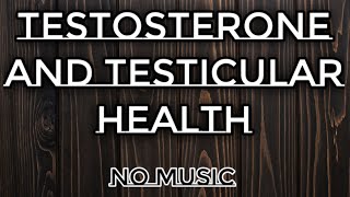 Testosterone and Testicular Health  Be the Man that You Know You Are [upl. by Yentyrb]