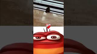 Mr red bombastic Frog🐸 shorts redlarva memes funny edit music xd rk larva genz fypシ [upl. by Nojram318]