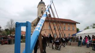 Maibaumaufstellen 2016 Feldkirchen [upl. by Gnot]