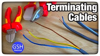 Terminating PVCPVC Twin and CPC Cables How To Strip and Terminate Twin and Earth Cables [upl. by Enirod]