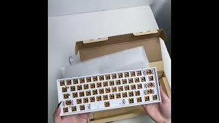 Customized HW61mini keyboard kit ISO 60 wireless RGB Bluetooth mechanical keyboard 61 keys [upl. by Otsuj]