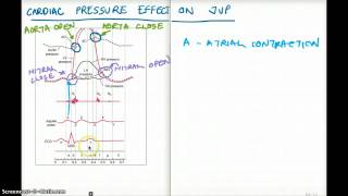 CARDIAC PRESSURE EFFECT ON JVP [upl. by Garett]