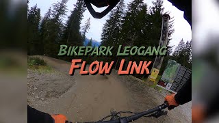 Bikepark Leogang  Flow Link [upl. by Herrah]