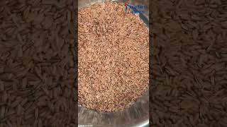 RealTech Mini32 for Sunflower Seeds Sorting [upl. by Jacobba79]