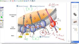 ETC Recorded Lecture [upl. by Matthaus]