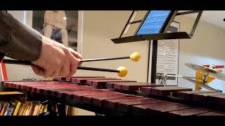 Maple leaf Rag by Scott Joplin xylophone [upl. by Thant]