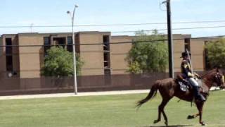 1st Cavalry Division Pass in Review  Horse Detatchment Part [upl. by Anirt]