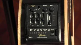 The Takamine CTP2 quotCool Tubequot Acoustic Guitar Preamp  review and user guide [upl. by Adyht]