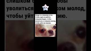 МЕМЫ С БЛИНКОМ blink блинк мем мемы memes music [upl. by Vish]