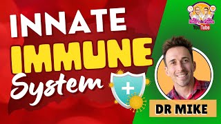 Innate Immunity  Immune System [upl. by Nyleuqcaj78]