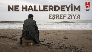 EŞREF ZİYA quotNE HALLERDEYİMquot [upl. by Belvia708]