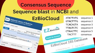 Consensus sequences from forward and reverse sequences Blast in NCBI and EzBioCloud DrZahidMumtaz [upl. by Amrak]