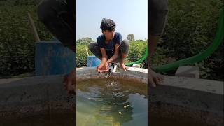 Chotey bhai to pure bhig gaye 🧔👈💧😂 full fannyvideo and comedyvideo vairalshort [upl. by Aztinaj596]