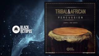 Tribal amp African Percussion loops amp samples [upl. by Robet760]