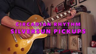 Silversun Pickups  Circadian Rhythm Guitar Cover [upl. by Kiona937]