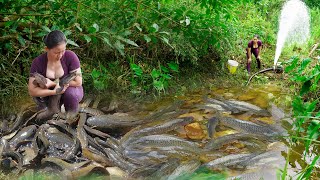 Top unique fishing videos catching wild fish with highcapacity pumps catching fish with bare hands [upl. by Amalee419]