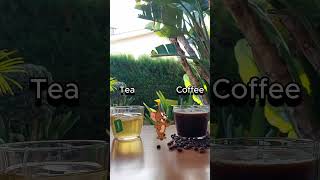 Coffee or Tea  dxn 883310731 [upl. by Eemla]