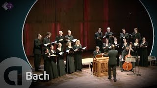 JS Bach Motet BWV 225 Singet dem Herrn  Vocalconsort Berlin [upl. by Aracahs]