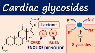 Cardiac glycosides in easy way  Digoxin digitoxin [upl. by Othe615]