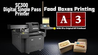 Sunthinks SC300 Single Pass Digital Printer For Hamburger Boxes Printing [upl. by Claretta]