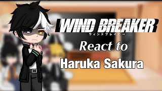 Windbreaker react to haruka Sakura  lots of angst  past  anime  midnight gacha  react [upl. by Naved]