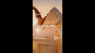 BANDEANNONCE quotROCH HACHANAquot AVEC DIDIER KASSABI [upl. by Acsisnarf]