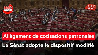 Allègements de cotisations patronales  le Sénat adopte le dispositif modifié [upl. by Wrench]