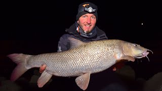 FEEDERMANIA Téli Márna horgászat a Dunán A Margit híd felett Winter Barbel fishing on the Danube [upl. by Lledo]