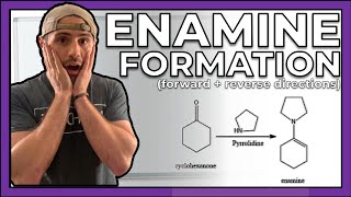 Enamine Formation Forward and Reverse Directions [upl. by Yerok]