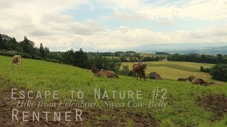 ASMR Escape to Nature 2 ✦ Swiss Cowbells binaural 3D [upl. by Ailegnave]