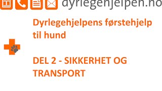 Dyrlegehjelpens  Førstehjelp del 2  Sikkerhet og transport [upl. by Witha]