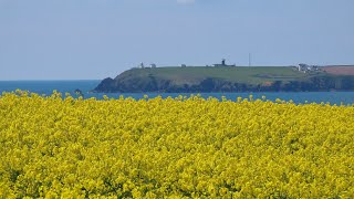 West Angle Bay to East Angle on the Pembrokeshire Coast in Wales  April 2024 [upl. by Nivert]