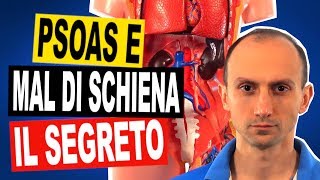 Psoas e Mal di Schiena Scopri il Legame e gli Esercizi di Fisioterapia [upl. by Elyse]