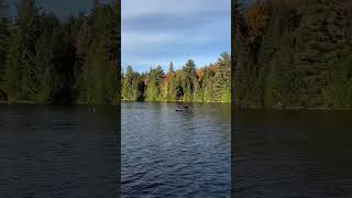 Canoe Lake Algonquin National Park [upl. by Nedah]