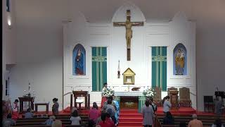 Friday Evening Mass Rosary amp Novena  Oct 11 2024 at 830 AM  Fr Tomy J Puliyan MSFS Pastor [upl. by Onibas]