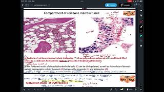 Hematologyhistologypractical 1 part1 [upl. by Hardner]