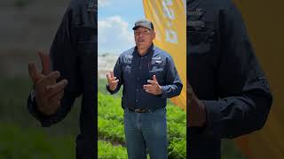 👉BASF  NUNHEMS te invita a la Expo Hortícola Los Reyes de Juárez Puebla 2024🤠 agricultura agro [upl. by Sigfrid]