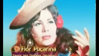 Mis dolores flor karaoke estilo FLOR PUCARINA [upl. by Nnaycnan]