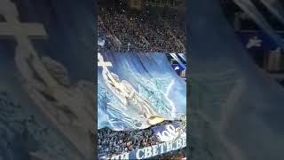 Вираж на Газпром Арене  The Virage at the Gazprom Arena газпромарена зенит питер gazpromarena [upl. by Akinal]