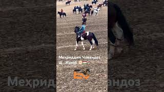 tajikistan uzbekistan бузкаши buzkashi 100kview [upl. by Noseaj]