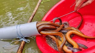 Unbelievable Fishing  Uniqe Fish Trapping System  PVC Pipe Fishing [upl. by Haimirej]