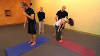 Yoga for Back Pain part 2 Facet Syndrome [upl. by Sadnak554]