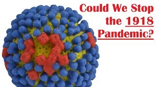 Could the 1918 Influenza Pandemic Happen Again [upl. by Py909]