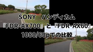 SONY ハンディカム『FDRAX700』と『FDRAX60』を108060p比較してみました [upl. by Kenay324]