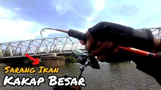 Dugaanku Memang Benar Sarang Kakap Merah Besar Ada Di Kolong Jembatan [upl. by Ahsoik]