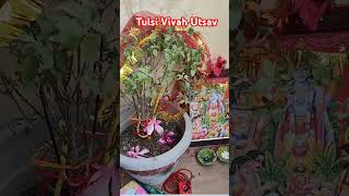 Tulsi Rani ka vivah hshortvideos viralvideo tulsi tulsivivah youtubeshorts viralsong love [upl. by Karisa]